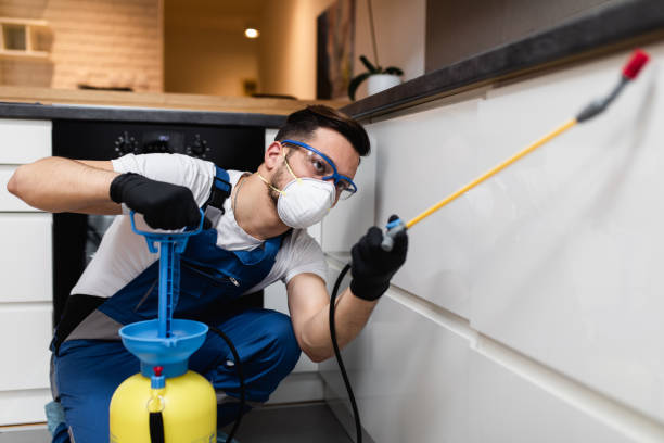 Best Bed Bug Extermination  in Makaha, HI