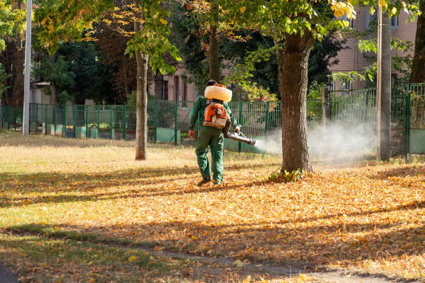 Best Bed Bug Extermination  in Makaha, HI