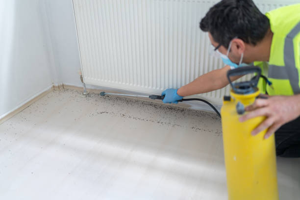 Best Ant Control Services  in Makaha, HI
